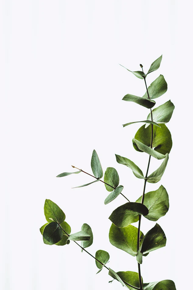 after-image-01